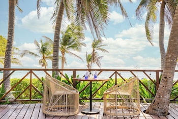 reef haven belize