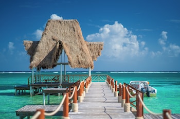 reef haven belize
