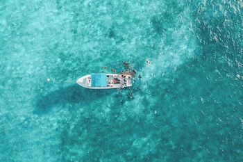 reef haven belize