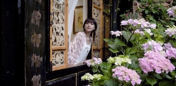 yiyuan snow mountain view historical naxi house