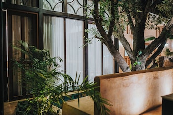 cigno mejorada hotel boutique