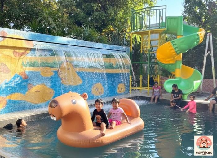 casa de capybara