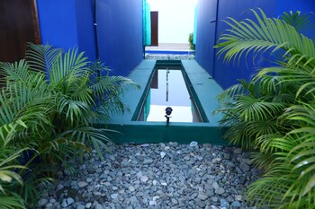 the tiger waterfront resort