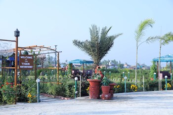 the tiger waterfront resort
