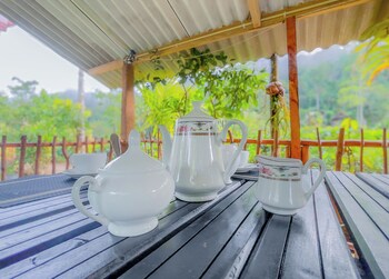 rain forest vibe sinharaja