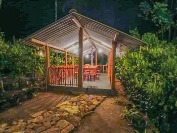 rain forest vibe sinharaja