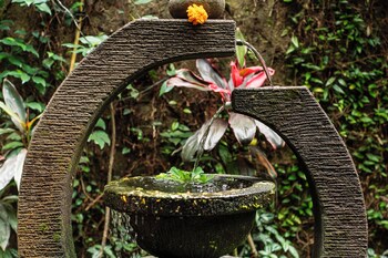 barong retreat villa ubud with hammock terrace garden and koi pond