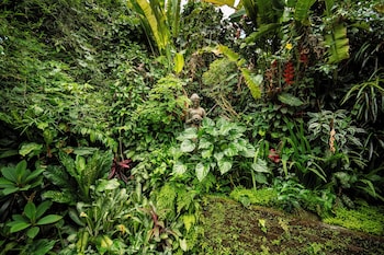 barong retreat villa ubud with hammock terrace garden and koi pond