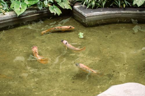 ubud