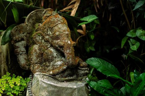 ubud