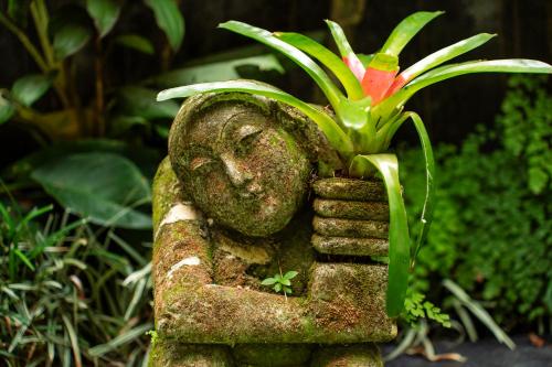 barong retreat villa ubud with hammock terrace garden and koi pond