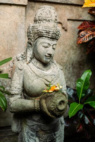 barong retreat villa ubud with hammock terrace garden and koi pond