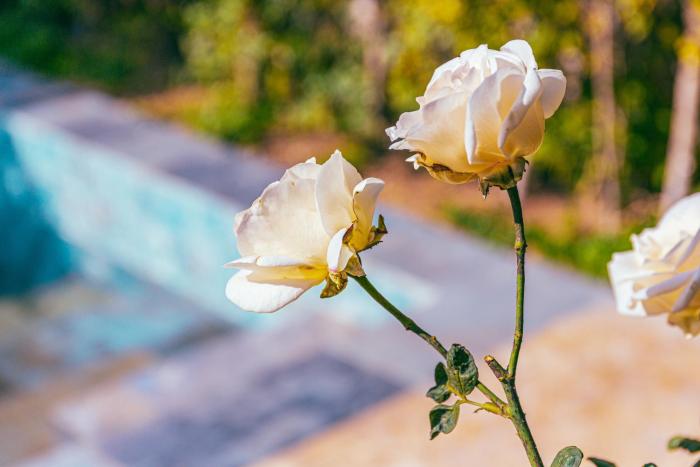 kasbah la moun luxury riad and spa