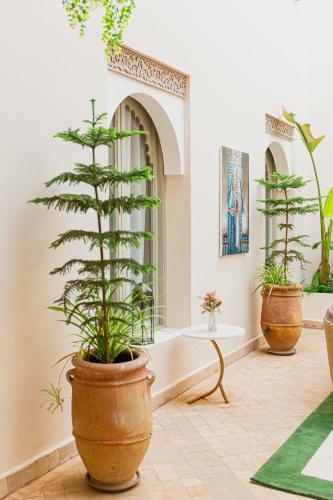 kasbah la moun luxury riad and spa