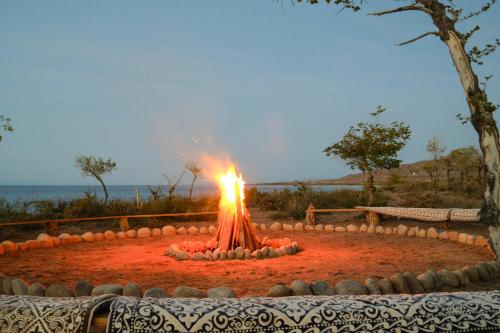 oimo tash yurt camp