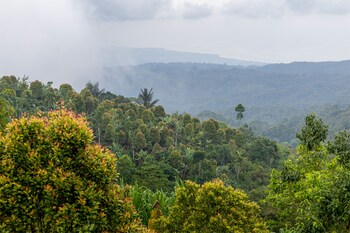 asahan munduk cabin