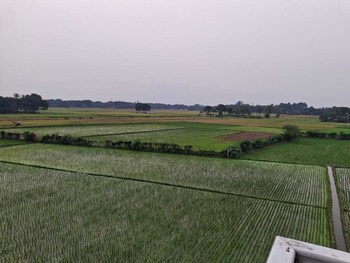 pabna sadar