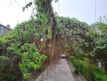 pabna sadar