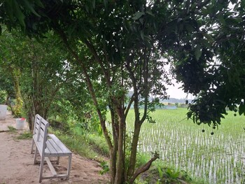 pabna sadar