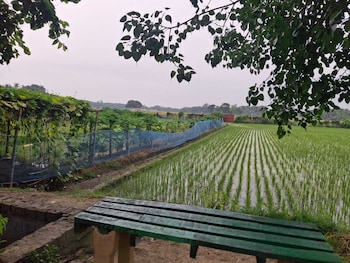 pabna sadar