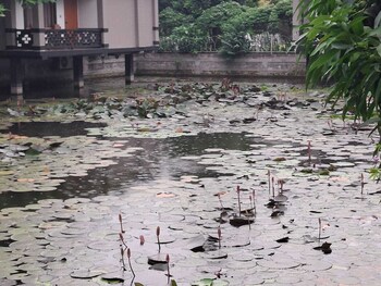 pabna sadar