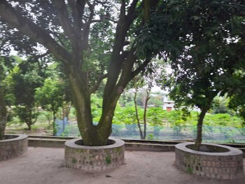pabna sadar