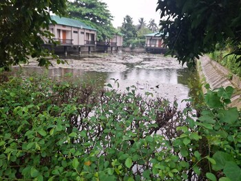 pabna sadar