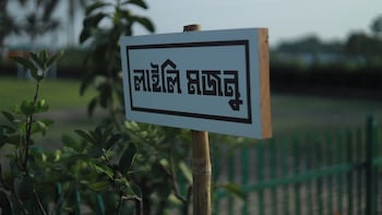 rupkotha eco resort pabna