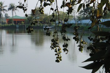 rupkotha eco resort pabna