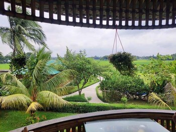 rupkotha eco resort pabna
