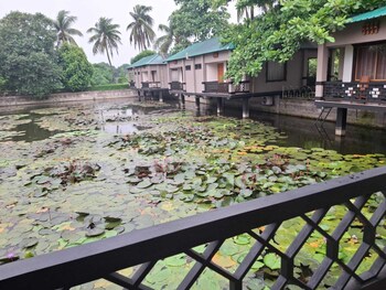 rupkotha eco resort pabna
