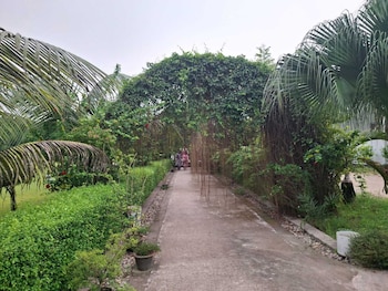 rupkotha eco resort pabna