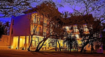 Rain Tree By Oak Ray,,3 star