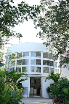 vsr vriksha naturopathy wellness