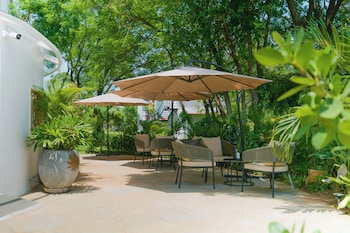 vsr vriksha naturopathy wellness