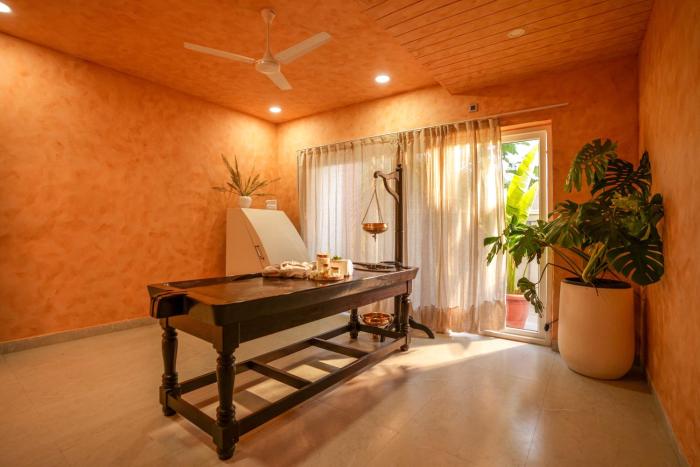 vsr vriksha naturopathy wellness