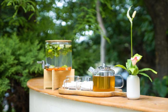 vsr vriksha naturopathy wellness