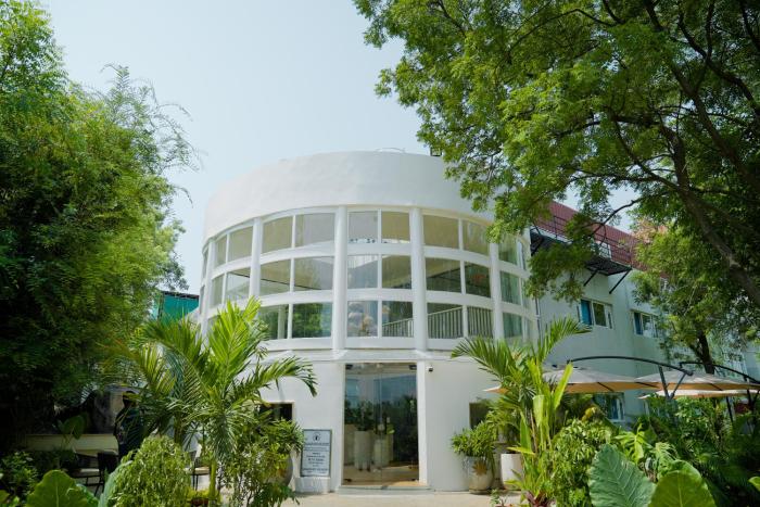 vsr vriksha naturopathy wellness