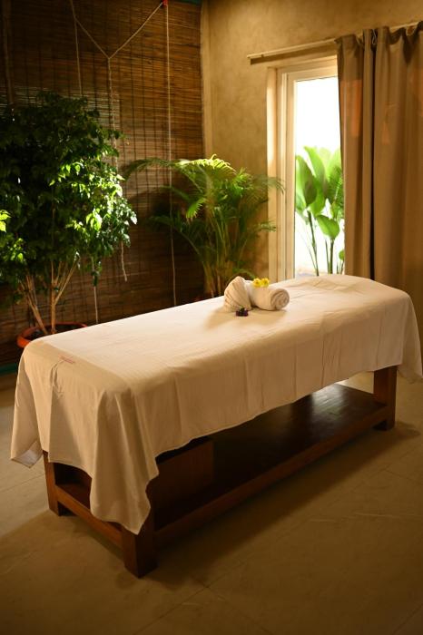vsr vriksha naturopathy wellness
