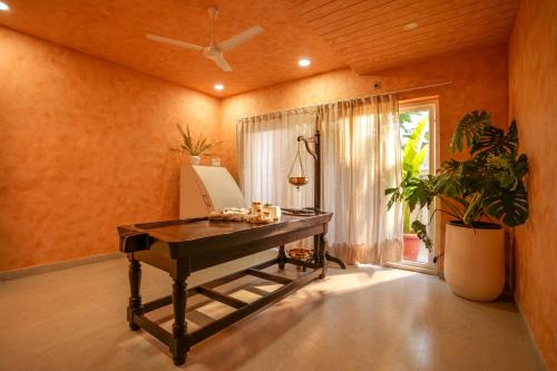 vsr vriksha naturopathy wellness