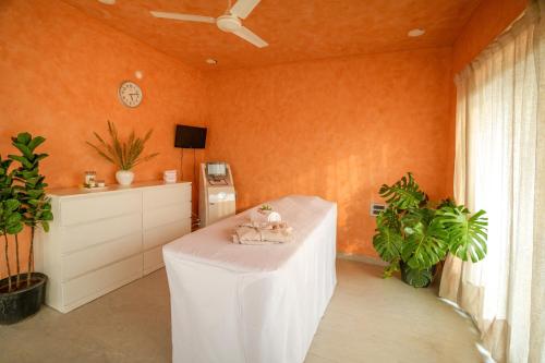 vsr vriksha naturopathy wellness