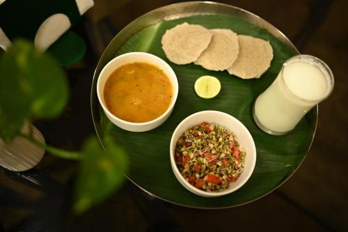 vsr vriksha naturopathy wellness