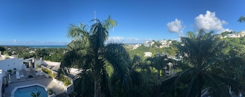 kainos tropical