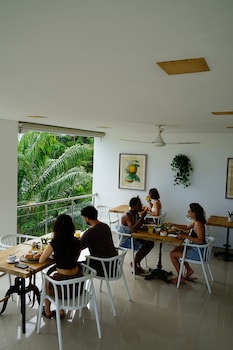 las terrenas