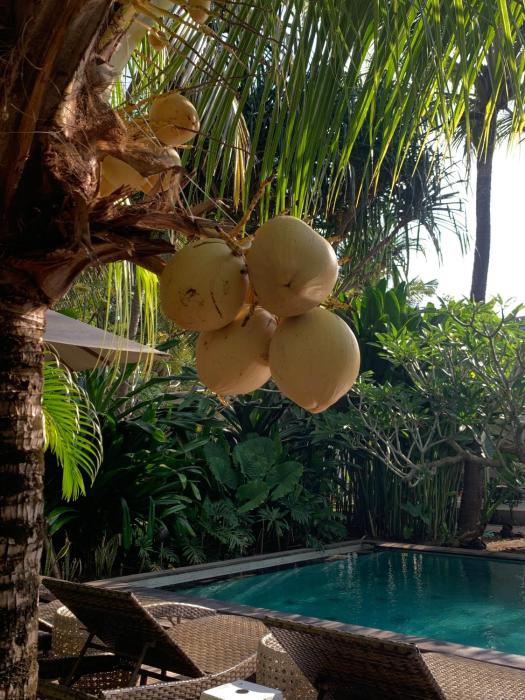 udara hideaway villa