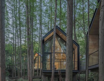 lostlodge dongming mountain