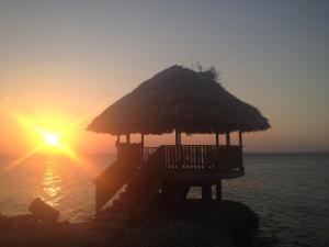 bluefields
