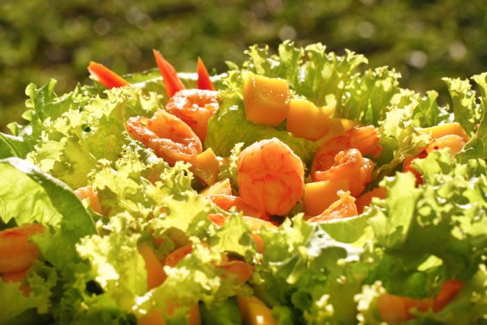 pontal dos carneiros beach bungalows