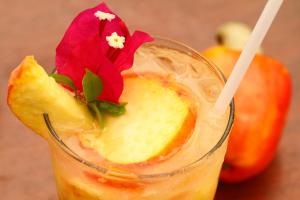 pontal dos carneiros beach bungalows