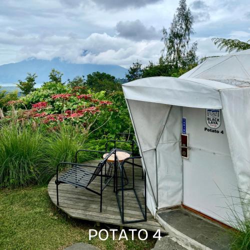 black lava camp kintamani
